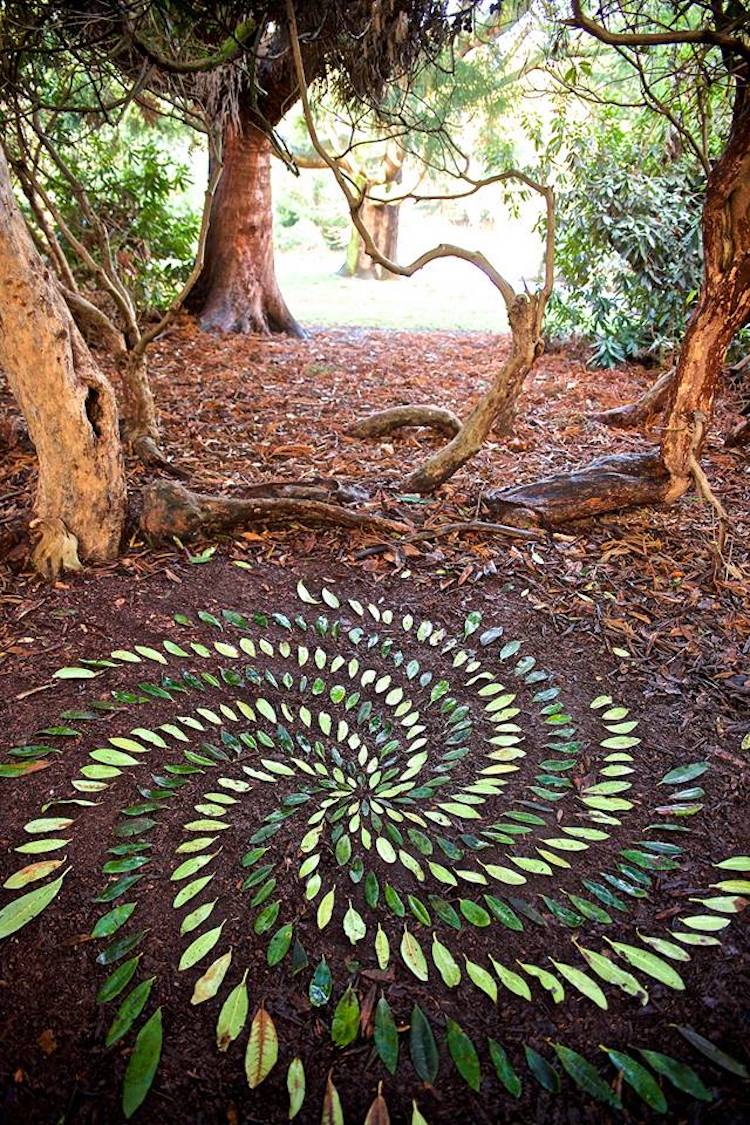 James Brunt, el artista que crea obras de arte con la naturaleza Bien