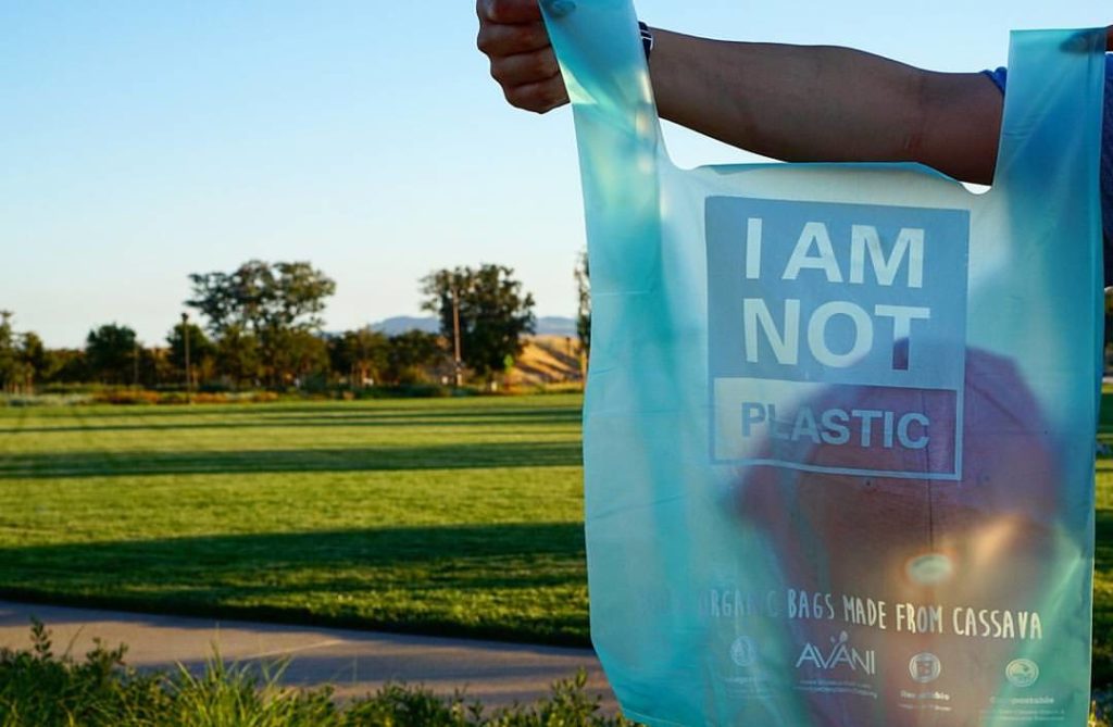 bolsa de yuca biodegradable