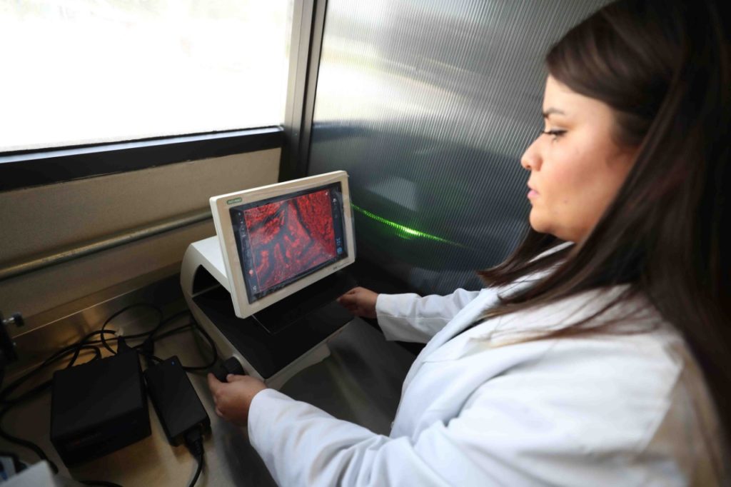 tratamiento contra el cancer ipn melanoma